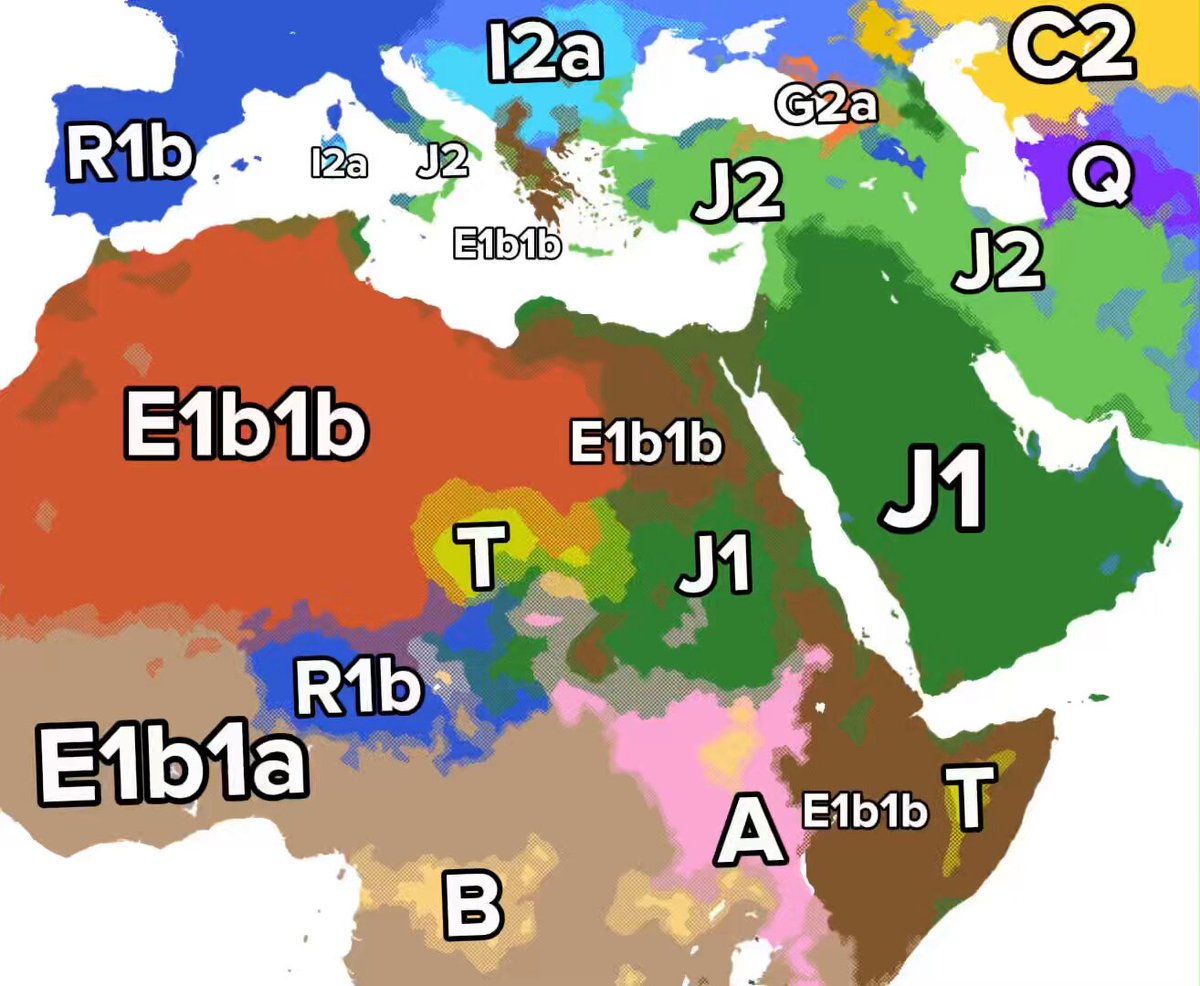 The world's most diverse region