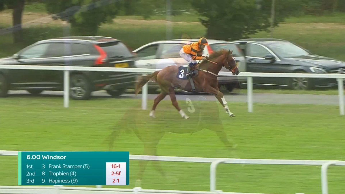 A shrewd purchase! Marco Ghiani and Tony Carroll provide some winning reaction after Frank Stamper made a successful stable debut at Windsor Racecourse...