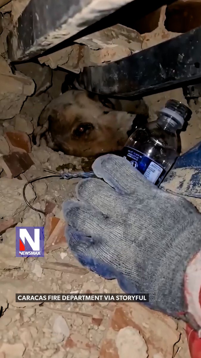 EXTRAORDINARY RESCUE: Firefighters in Venezuela searching the wreckage after deadly earthquakes heard barking from beneath the rubble on Thursday. They found a dog alive under the collapsed home, gave it water, and safely rescued it.