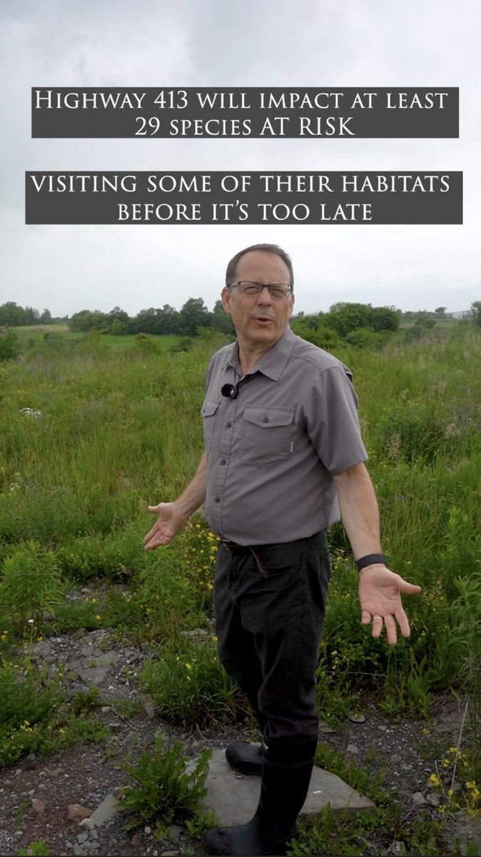 Highway 413 threatens 29 species at risk. I went to see what Ford is willing to destroy. Tell Doug Ford to cancel Highway 413 now: