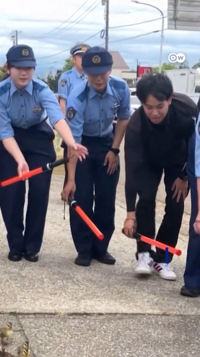 日本警察的特别行动：护送小鸭子过马路 在一场暖心的救援行动中，警员们暂时放下了抓坏人的工作，转而执行“保护鸭子”的任务，护送了一群误入警察局院子的鸭子前往安全地带。