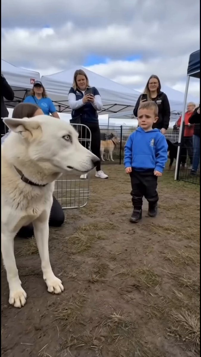 This little boy had been waiting a long time to adopt this dog, so when it finally happened, he cried tears of happiness for hours.