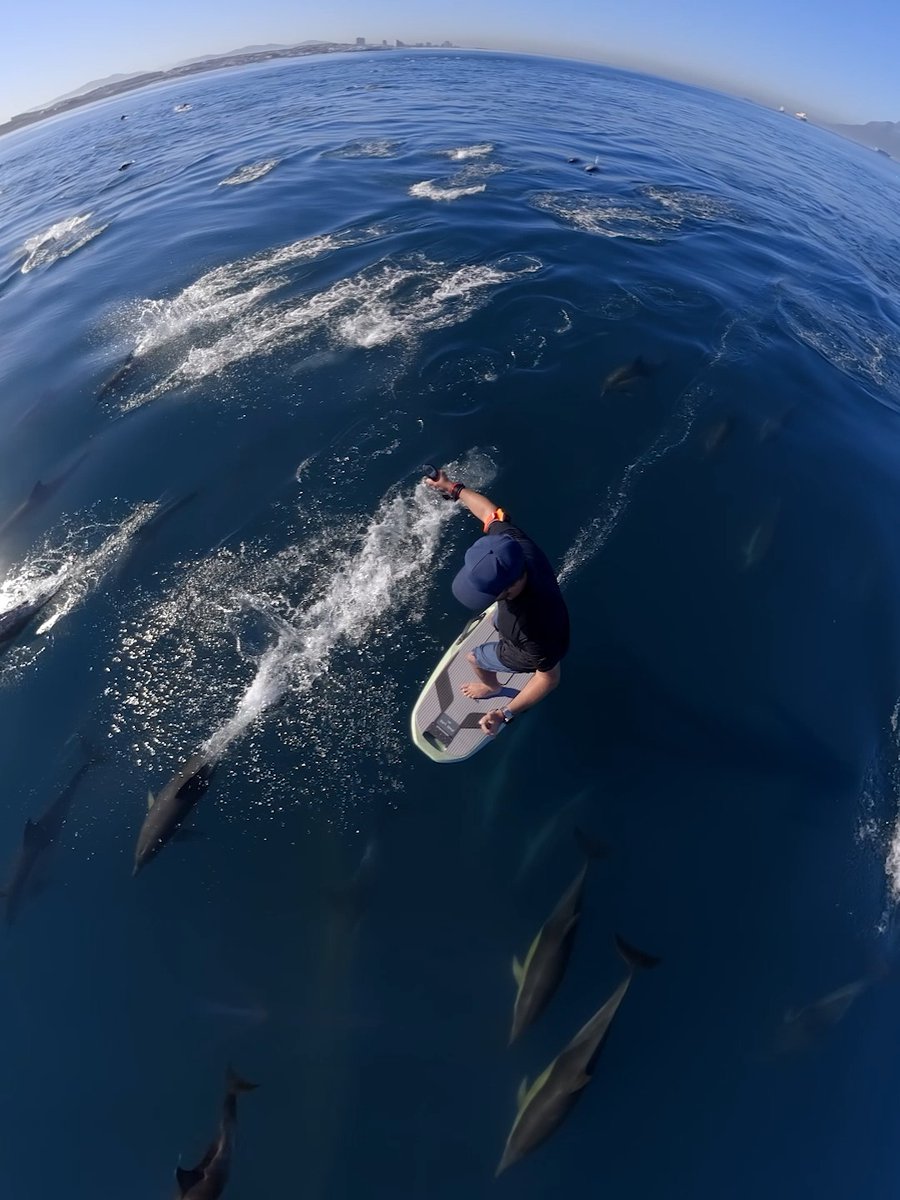 This is why you always bring your GoPro 🤯 #GoProFamily member Chris Rogers will remember this forever. Shot on the only True 8K 360 camera, #GoProMAX2 👉 $200 off for a limited time only at #GoPro #Dolphins #Wildlife
