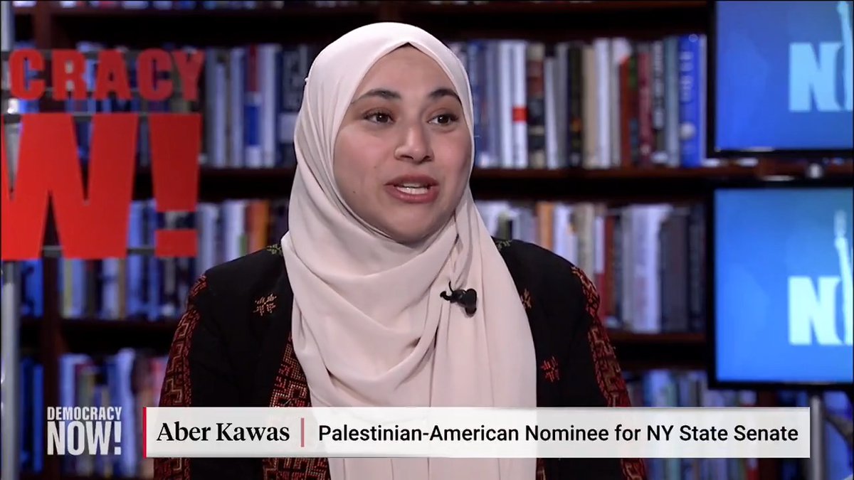 Democratic socialist Aber Kawas could become the first Palestinian American elected to statewide office in New York if she wins her race for State Senate in November. She just won the Democratic primary in her Queens district. Kawas says support for Palestine is becoming an important litmus test in progressive politics: "What we are seeing right now is a redefinition of what people want to define as progressive politics, and that Palestine needs to be part of that fold. Having an antiwar platform needs to be part of that. "If you are saying 'I want to deliver affordability,' if you're saying you're against ICE, then people will only see that as consistent in your politics if you're also saying that you're against a genocide in Palestine. So, in many ways we are transforming the Democratic party and also the progressive voice in the Democratic party to make sure that it includes speaking out about Palestine."
