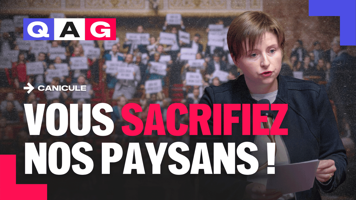 🔴🗣️ URGENT | Mathilde Hignet accuse le Gouvernement d'abandonner les éleveurs à leur sort en pleine canicule ! « Par vos actions néfastes, vous sacrifiez nos paysans ! Alors que sur le terrain, face à la canicule, des paysans et paysannes nous montrent une porte de sortie avec des fermes plus résilientes, à taille humaine, diversifiées, en élevage plein air. Des solutions sont là, sous nos yeux. Il faut s'en saisir ou l'agriculture française disparaîtra. Quand allez-vous déclencher la procédure de reconnaissance de catastrophe naturelle ? » #DirectAN #QAG