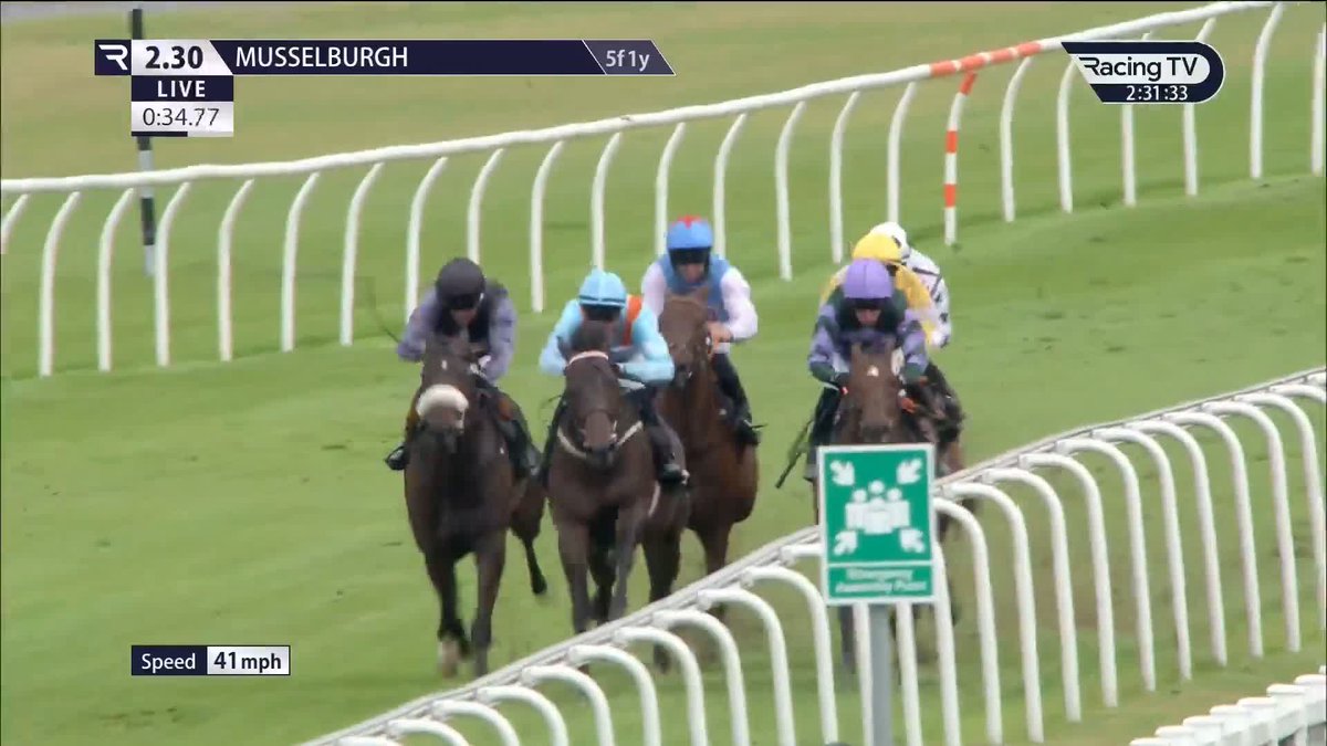 Bear Lee swoops from last to first and opens his account like a nice horse in the British EBF Restricted Maiden Stakes for Michael & David Easterby Racing and Nick Bradley Racing