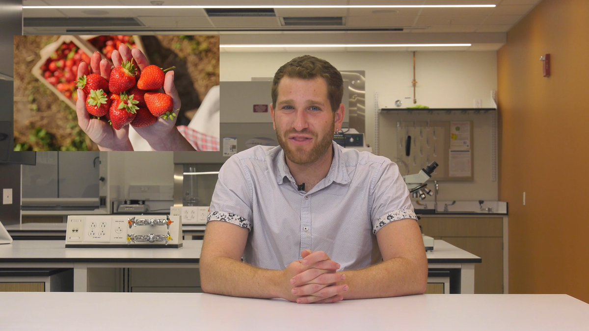 NIH researchers studied more than 11,000 Americans and found that many people think healthy foods like fruits and vegetables are tasty too. The findings offer new insights into how our attitudes toward food may influence what we eat. 🎥 Watch the video to learn more: #EatRealFood