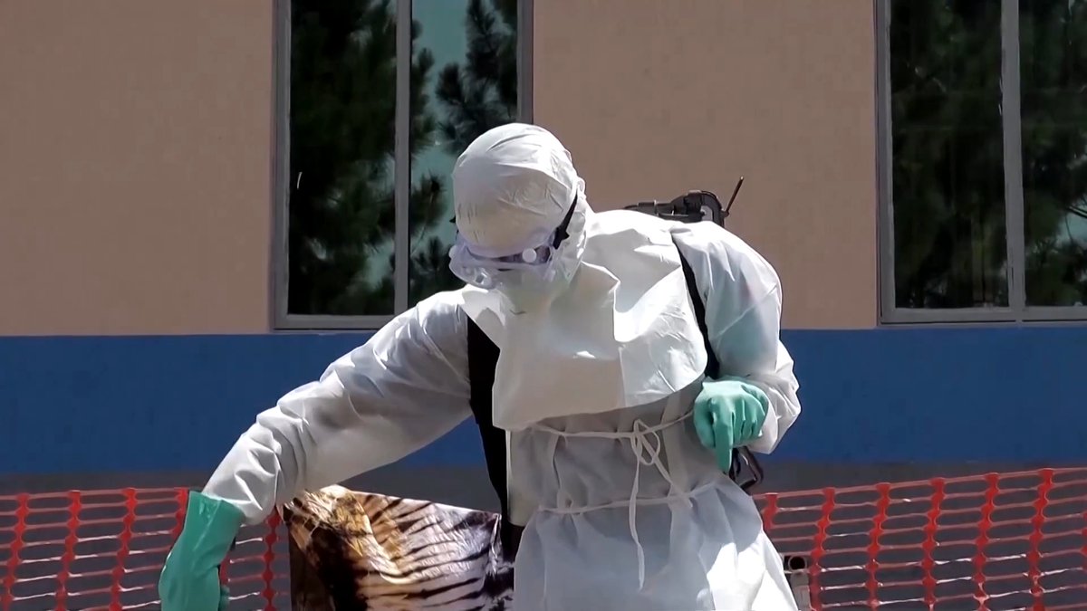 The United Nations warned that an Ebola outbreak could cost Africa up to $3.6 billion and hundreds of thousands of jobs, potentially causing a development crisis