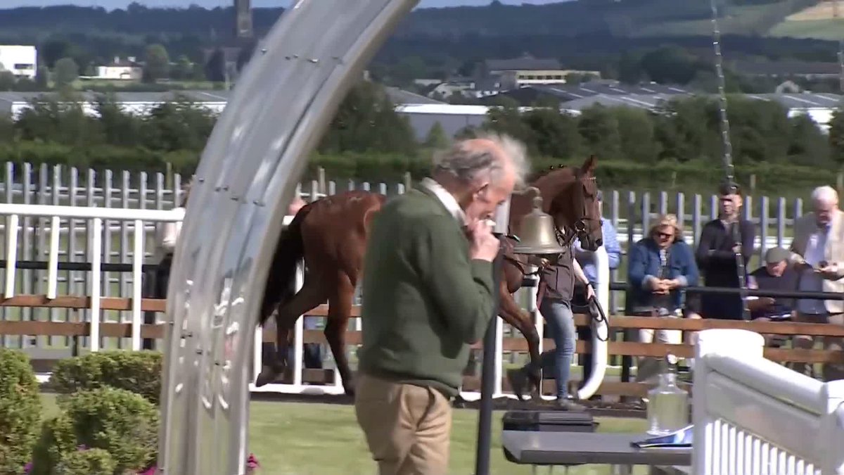 How's this for a comprehensive interview?! Johnny Ward gets a mini stable tour out of Danny McLoughlin after the hungry young trainer struck with Damsel In Distress at Roscommon Racecourse - can't get the names of those 2yos out of him though! 🤣