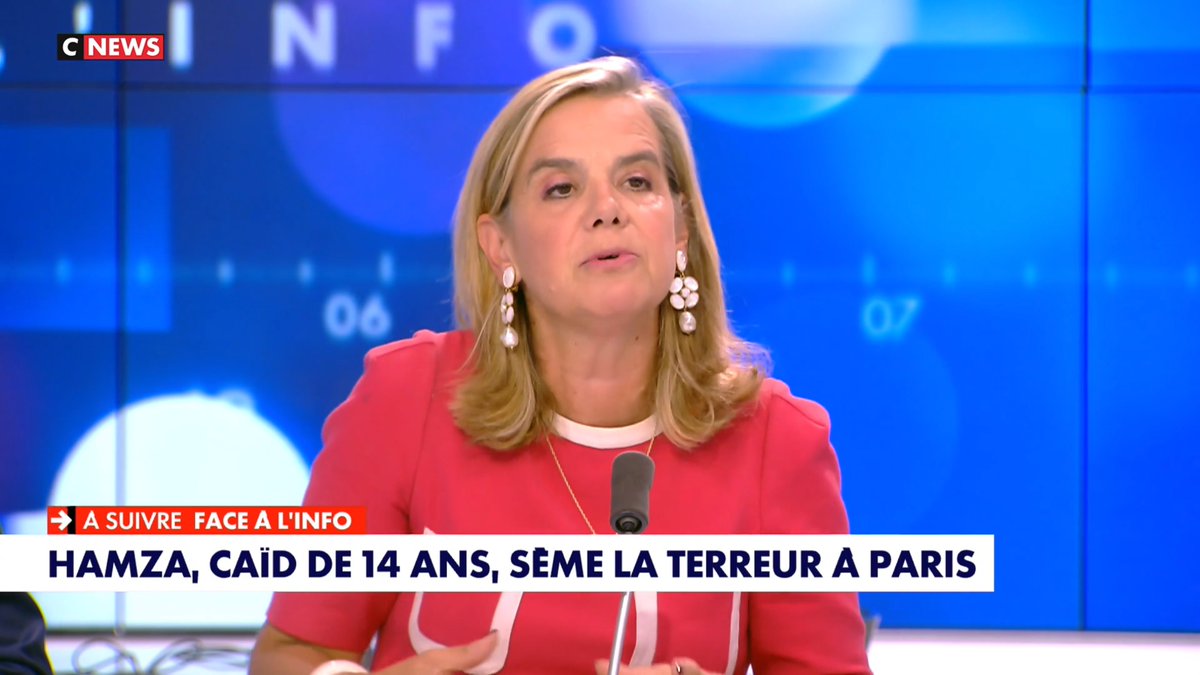 📺 « Quand une personne est insolvable on ne peut pas la faire payer ; quand elle peut être dangereuse on préfère ne pas la verbaliser. Par contre, si vous laissez traîner une amende, on vous fera une saisie sur salaire. » Gabrielle Cluzel sur Face à l’Info (CNEWS)
