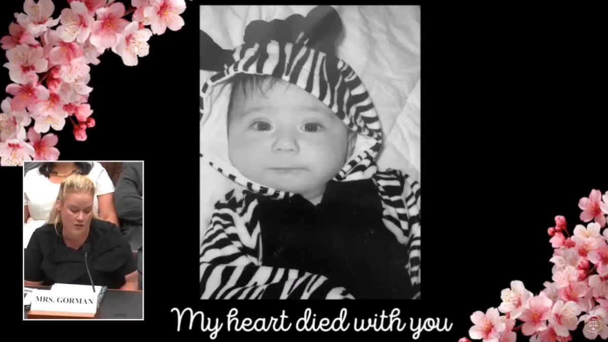 Sheridan Gorman was brutally murdered by an illegal alien from Venezuela. She was only 18 years old. Watch her mother, Jessica Gorman, tell the Committee exactly how Chicago's sanctuary city policies failed Sheridan ⬇️