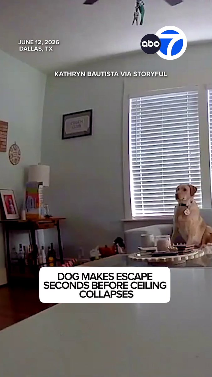 A Ring camera captured a dog exiting his living room as the overhead ceiling creaked, just seconds before sheets of drywall collapsed inside his Texas home.