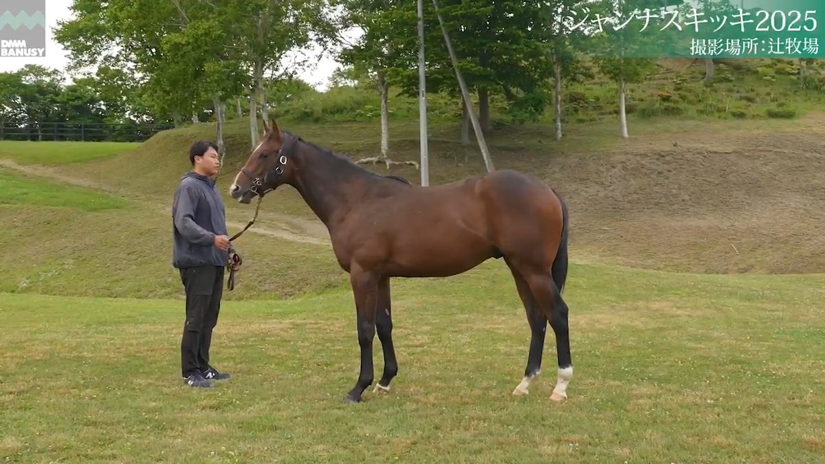 【関係者インタビュー】6/26撮影🆕 ジャンナスキッキ2025(牡.1歳) 父 シニスターミニスター 厩舎 藤原英昭/関西 募集総額 4500万円/ 1000口 一口金額(一括) 45000円 一口金額(分割) 7500円(6回) 20％キャッシュバック 9000円 1次募集は7月9日(木) 23:59まで DMM バヌーシー