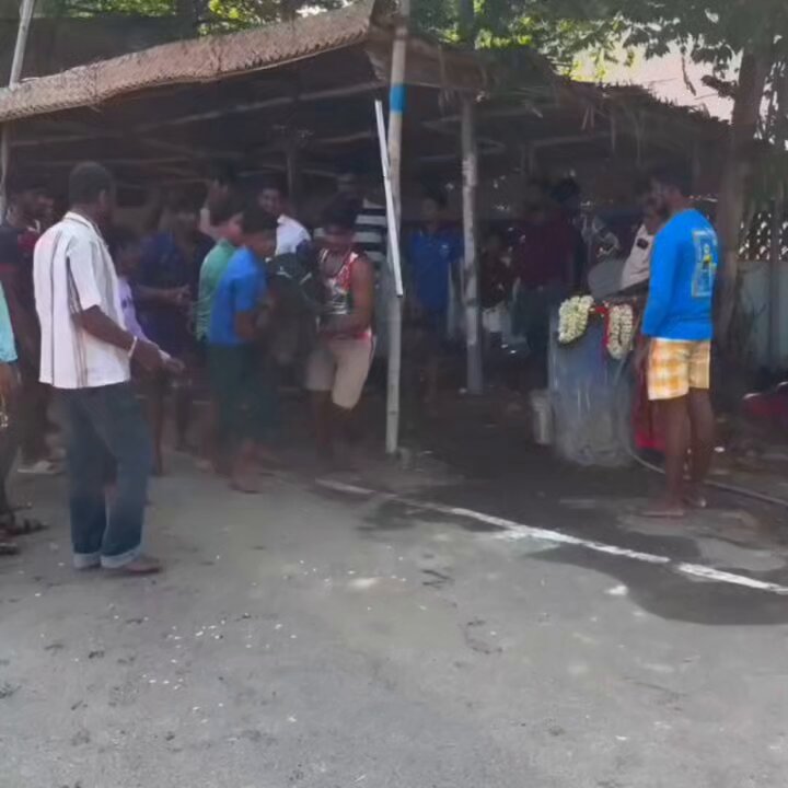 Taraka pandi 🐷