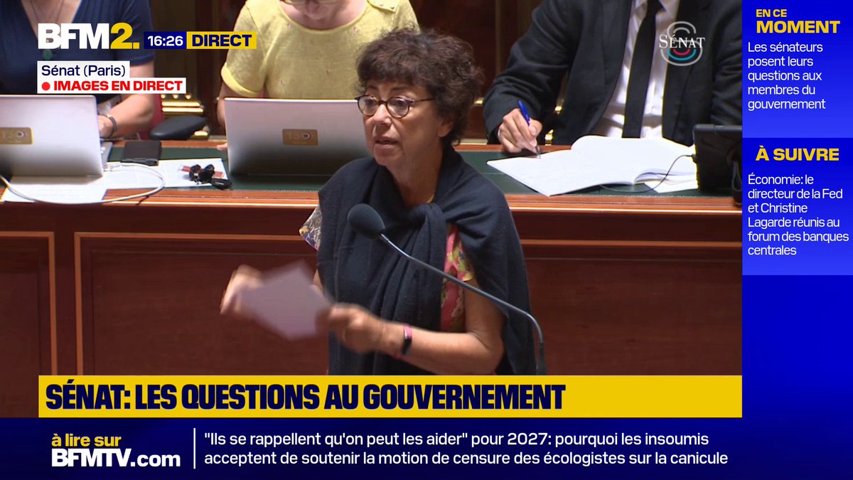 Canicule: "Oui la climatisation permet de sauver des vies, il n’a jamais été question de remettre cela en cause" dit Monique Barbut, ministre de la Transition écologique et de la Biodiversité #BFM2