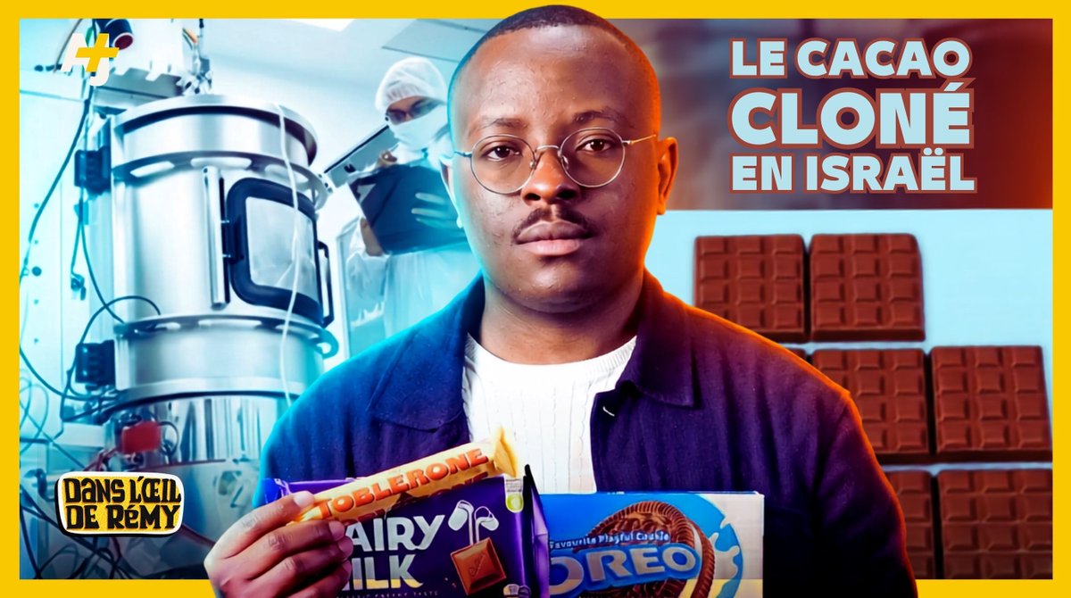 Une start-up israélienne financée par Mondelēz (Oreo, Cadbury, Toblerone) fabrique du beurre de cacao en laboratoire... sans un seul cacaoyer.