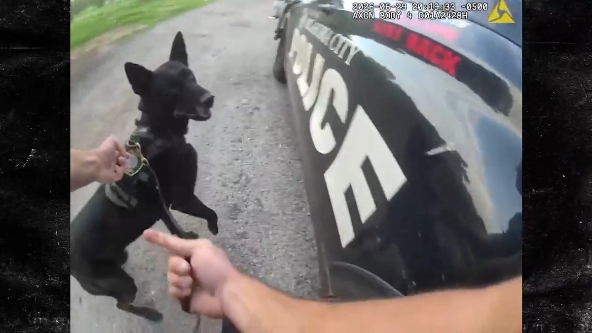 😳 Police dog dragged by truck after latching onto fleeing suspect. Credit: Clipzilla/NX/Joseph Golder