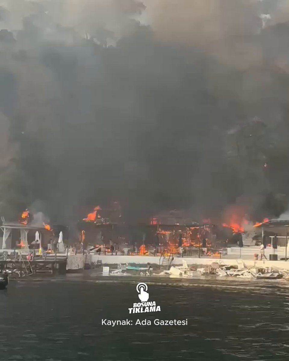 Büyükada'daki Viranbağ Plajı'nda yangın çıktı.