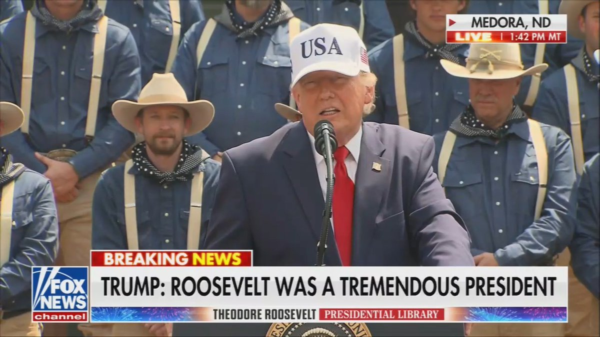 Trump: I've studied it long and hard. They died from the mosquito, and they died from the snake. They have a viper. A snake that if you get bit, you're in trouble. If you get bit, you were dead. You were dead. And that got aboutโthat wiped out about 5%.
