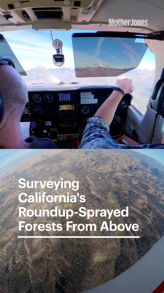 Reporter Nate Halverson took to the sky to get an aerial view of forestlands sprayed with the world's most controversial herbicide, glyphosate. The imagery from above was startling, as the extent of the barren land sprayed with glyphosate became apparent. The practice of spraying glyphosate—AKA Roundup—in the woods is now the fastest-growing market for the world's most widely used herbicide, according to 5 million state records analyzed by Mother Jones. An April investigation by Halverson that revealed the extent of the spraying has sparked a national debate over the practice and elicited pointed questions from members of Congress overseeing the Forest Service, leading some to call for an end to spraying in sensitive forestlands. The World Health Organization has called glyphosate a probable carcinogen, and the EPA has said it likely harms 93 percent of endangered species and is especially detrimental in areas like forests. The manufacturer Bayer says it is safe when used as directed. The United States Forest Service and timber companies say they use the controversial herbicide to reforest land that has burned in wildfires or been harvested by loggers. These foresters believe that by killing all other plant life, they help trees regrow faster by reducing competition for sunlight, water and soil nutrients. Record amounts of it have now been sprayed across the forest, according to state pesticide reports. In Lassen National Forest, the federal government plans to spray about 10,000 acres with the herbicide. Halverson flew over the area to see both the land planned for spraying and the private timberland where extensive spraying has already taken place within and surrounding the national forest. Sierra Pacific Industries, a timber company, is the second-largest user of glyphosate in California, according to state records analyzed by Mother Jones.