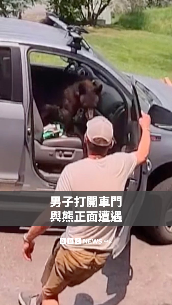 如果你的车里有一只熊，你会怎么做？🐻 美国科罗拉多州的一名男子，在打开车门时惊讶地发现一只黑熊竟坐在皮卡车的前座上。 最后，他利用一块木板引导黑熊离开卡车，双方都毫发无伤地离开现场。