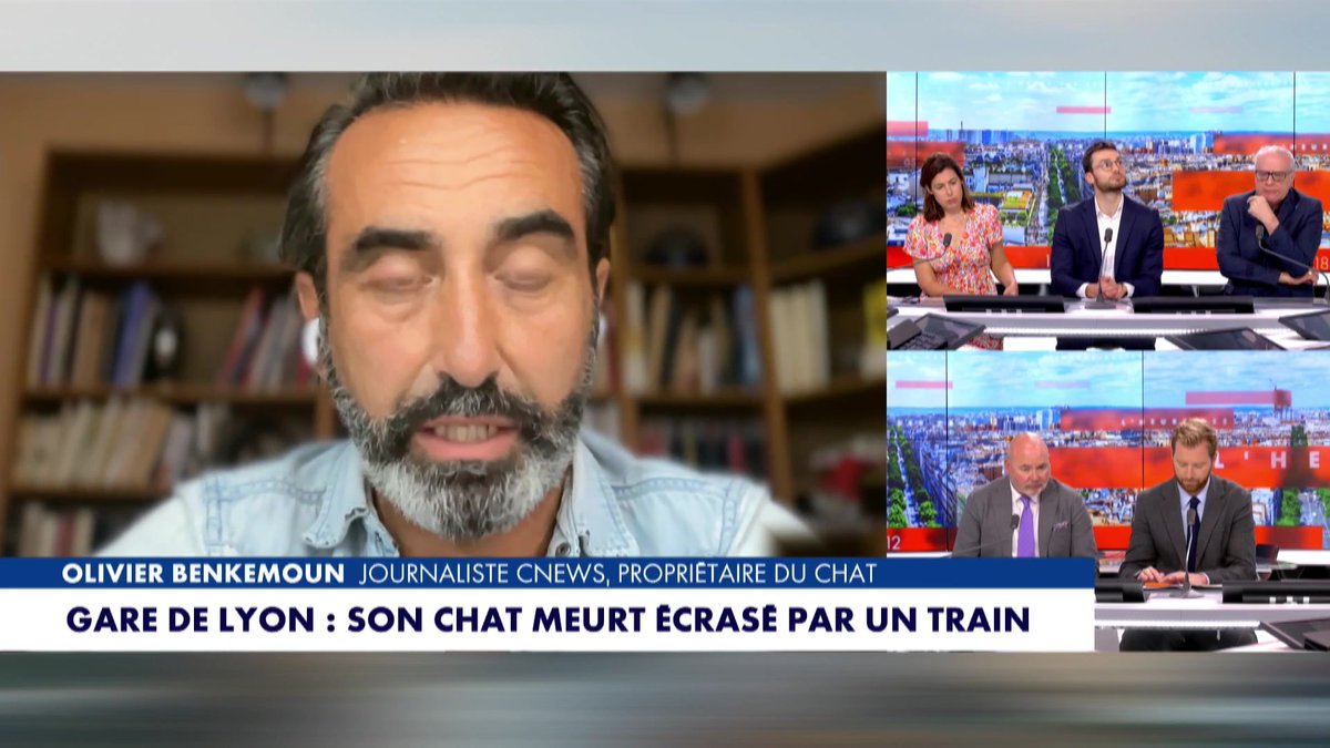 "C'était pile ou face. Le train redémarre… soit votre chat est vivant, soit il est coupé en deux" raconte olivier benkemoun après la perte brutale de son chat Gina sur les rails de la Gare de Lyon #HDPros #Europe1 Pascal Praud