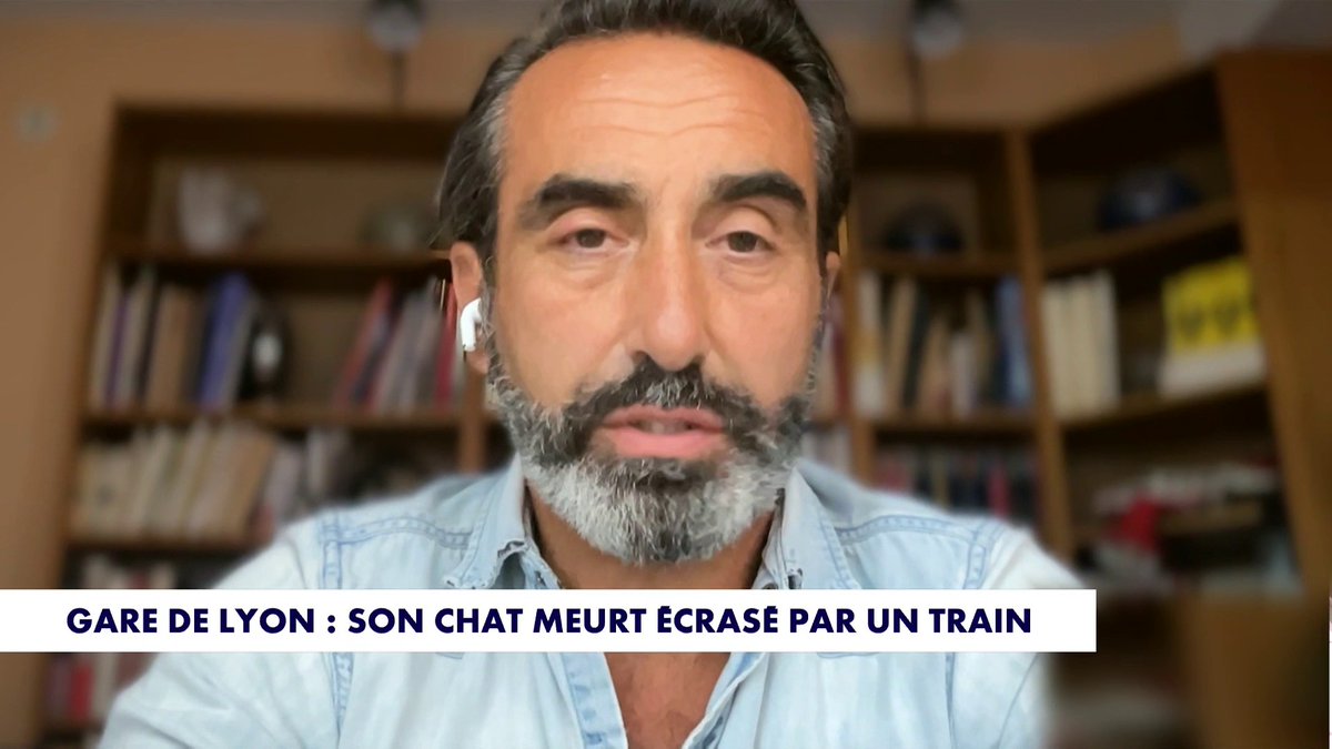 Olivier Benkemoun revient sur la perte tragique de son chat écrasé par un train, dans #HDPros Toute l'info est à retrouver sur