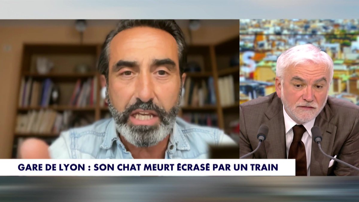 "On vous empêche d'aller sur les rails pour récupérer le chat" explique olivier benkemoun #HDPros #Europe1 Pascal Praud