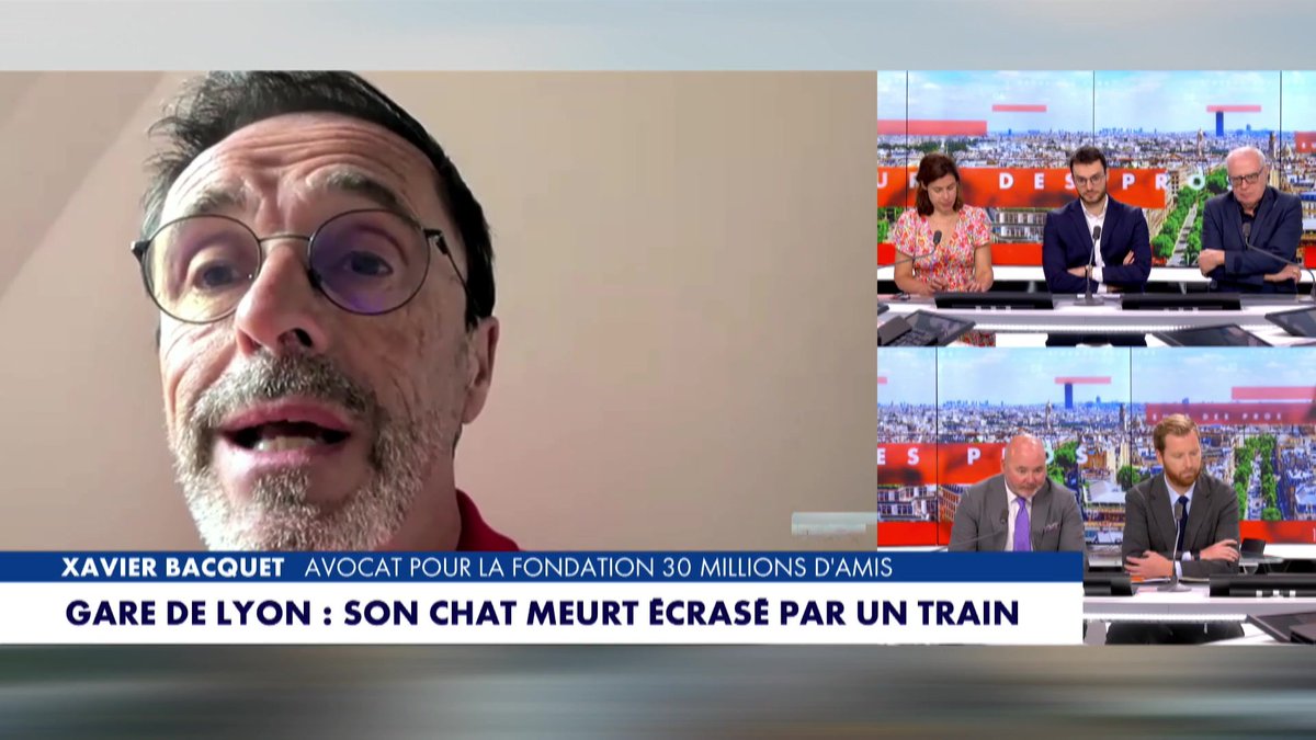 "Le train ne part pas tant que le chat n'est pas retrouvé. Le train ne part pas. pas tant que tous les moyens n'ont pas été mis en œuvre pour retrouver ce chat" déclare Xavier Bacquet avocat pour la fondation 30 millions d'amis #HDPros #Europe1 Pascal Praud
