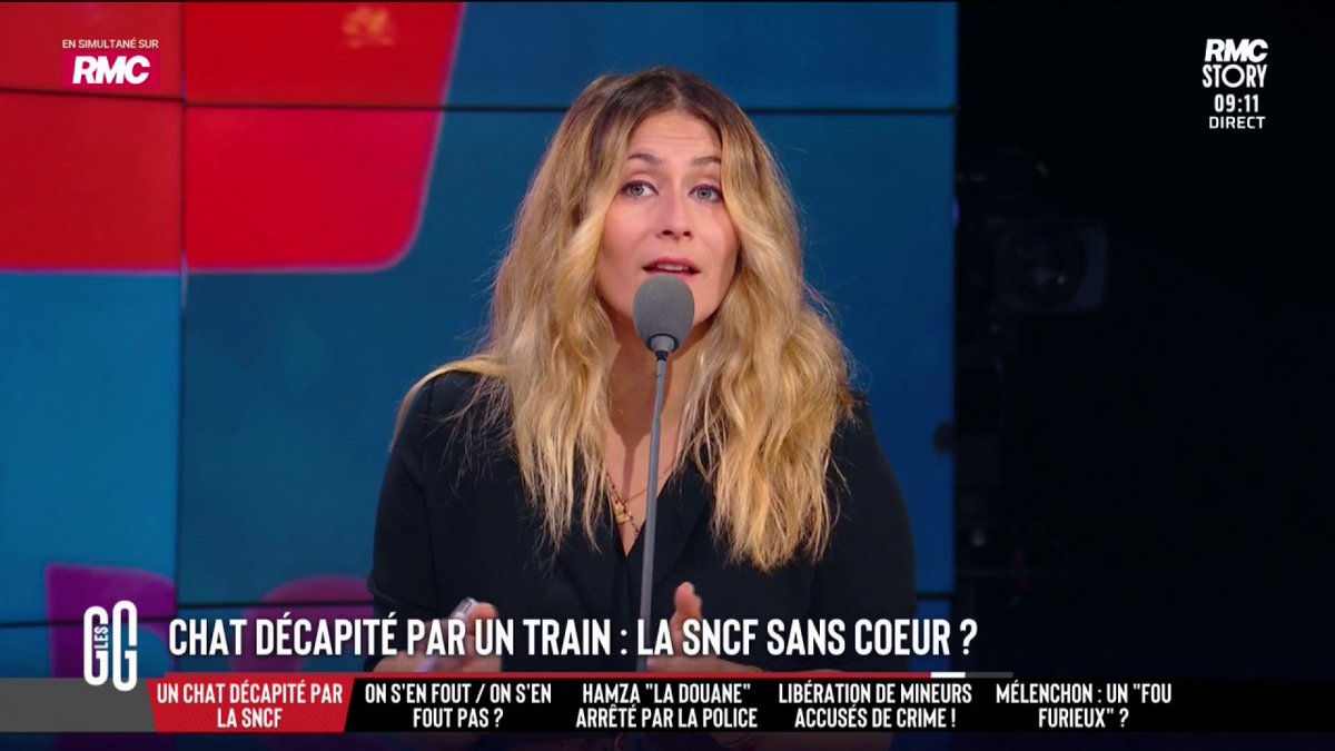 🐈 Gare de Lyon : son chat s’échappe sous un train. Le TGV démarre quand même et le décapite. 🗣️ Flora Ghebali : "Si c'était un enfant sur les voies, on n'aurait pas démarré le train." 🗣️ Bruno Poncet : "Ce n'est pas un enfant. Si c'est important, tu ne le laisses pas sortir de son sac." #GGRMC