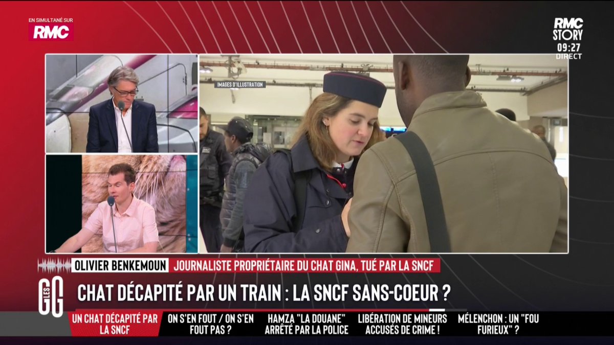 🐈 Gare de Lyon : son chat s’échappe sous un train. Le TGV démarre quand même et le décapite. 🎙️ olivier benkemoun, propriétaire du chat : "On a joué la vie de mon chat à pile ou face. La SNCF n'a pas tout fait, ils auraient dû m'envoyer sur les voies." #GGRMC