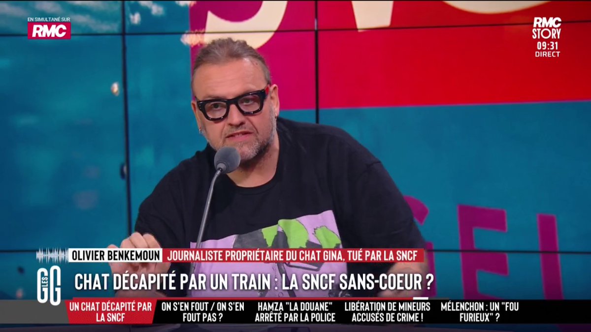 🐈 Gare de Lyon : son chat s’échappe sous un train. Le TGV démarre quand même et le décapite. 🗣️ Bruno Poncet, cheminot : "Monsieur, le chat était dans votre sac, c'est votre responsabilité. Arrêtez de penser que c'est toujours la faute des autres." #GGRMC