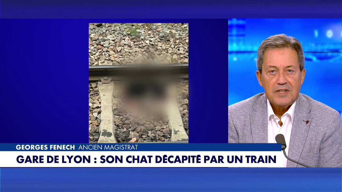 Georges Fenech, ancien magistrat, regrette la mort du chat d'Olivier Benkemoun : «On ne joue pas à la roulette russe avec un petit être», dans #100Frontières Toute l'info est à retrouver sur