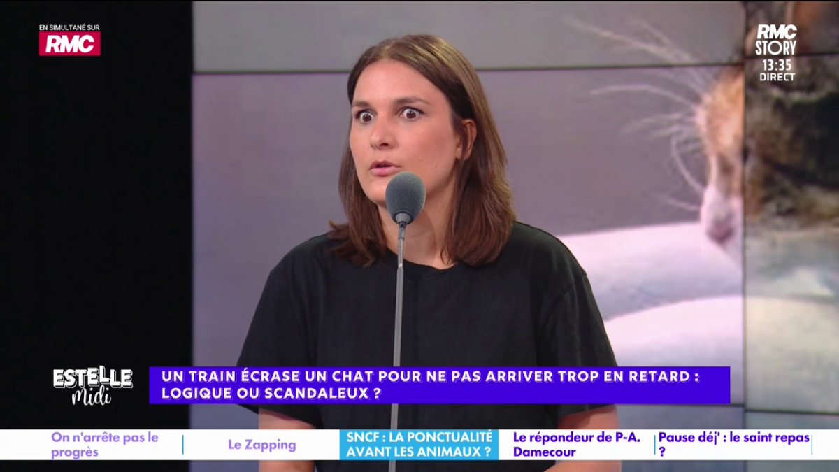 🐈 Un train écrase un chat pour ne pas arriver en retard 🎙️ Juliette Briens : "Tu es obligé d'avoir des règles... Qu'est-ce qu'on peut faire ? J'entends des trucs de fou : "Si c'était un enfant, on aurait attendu !" Oui mais ce n'est pas un enfant ! C'est triste pour le chat !"