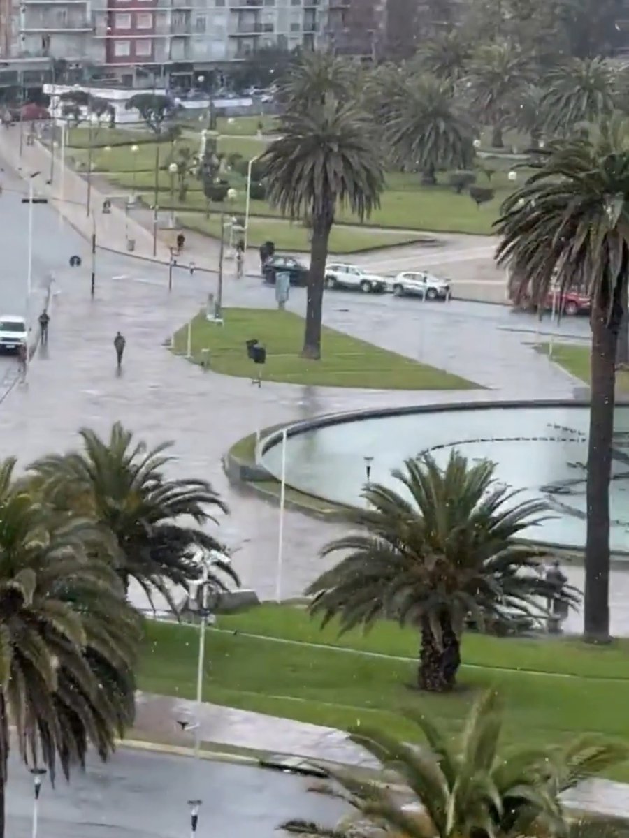 "Mar del Plata": Porque comenzó a nevar en esa ciudad