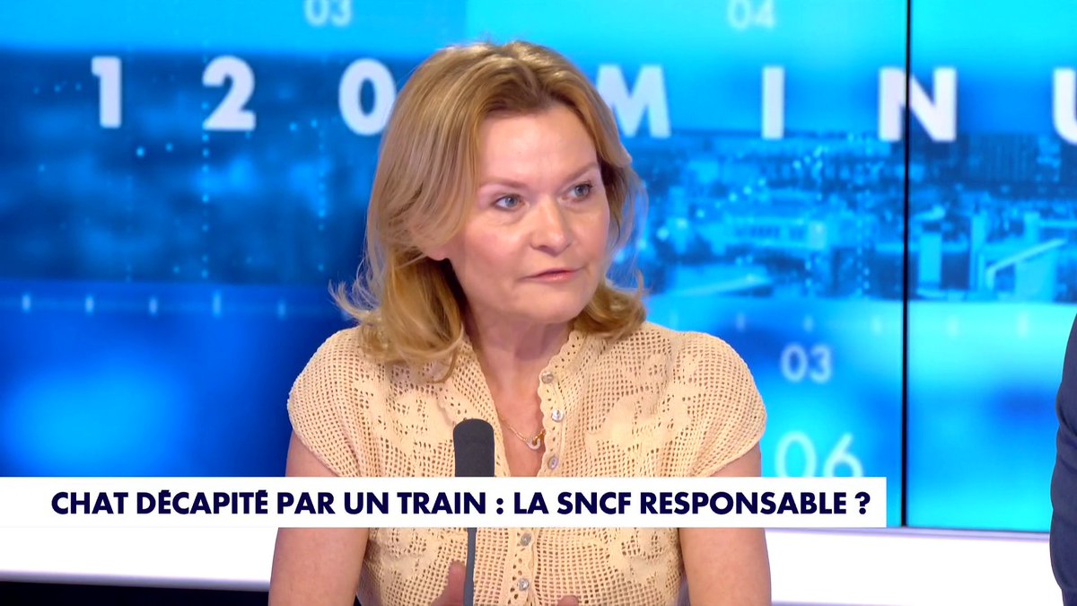 «Vingt minutes, ce n’est pas suffisant», estime Adriana Oancea Negro, directrice des affaires publiques de la Fondation Brigitte Bardot, à propos du protocole de la SNCF en cas de fuite d'un animal, dans #120MinutesInfo Toute l'info est à retrouver sur