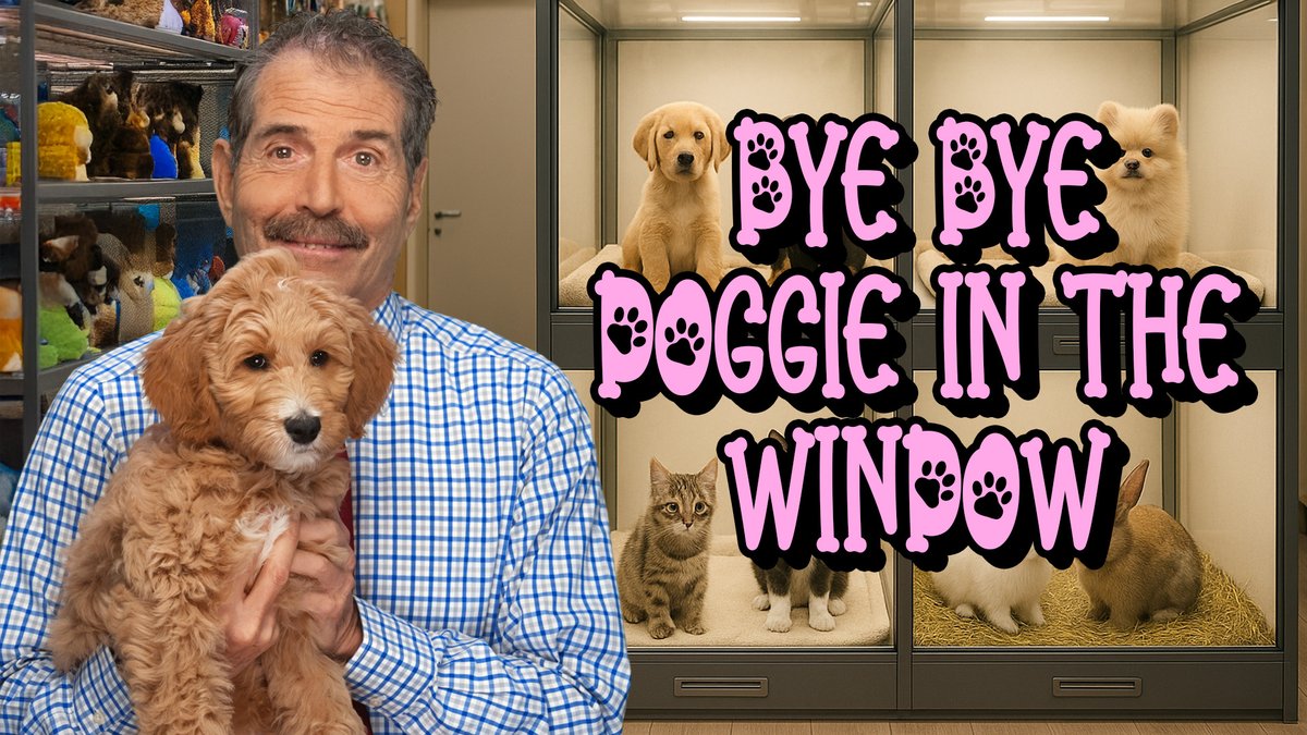 I thought the ASPCA ran most animal shelters. I was wrong. They collect more than $300 million (Those sad commercials with dogs in cages are a gold mine) in donations, but spend only 2% of that on shelters. Where does the money go?:
