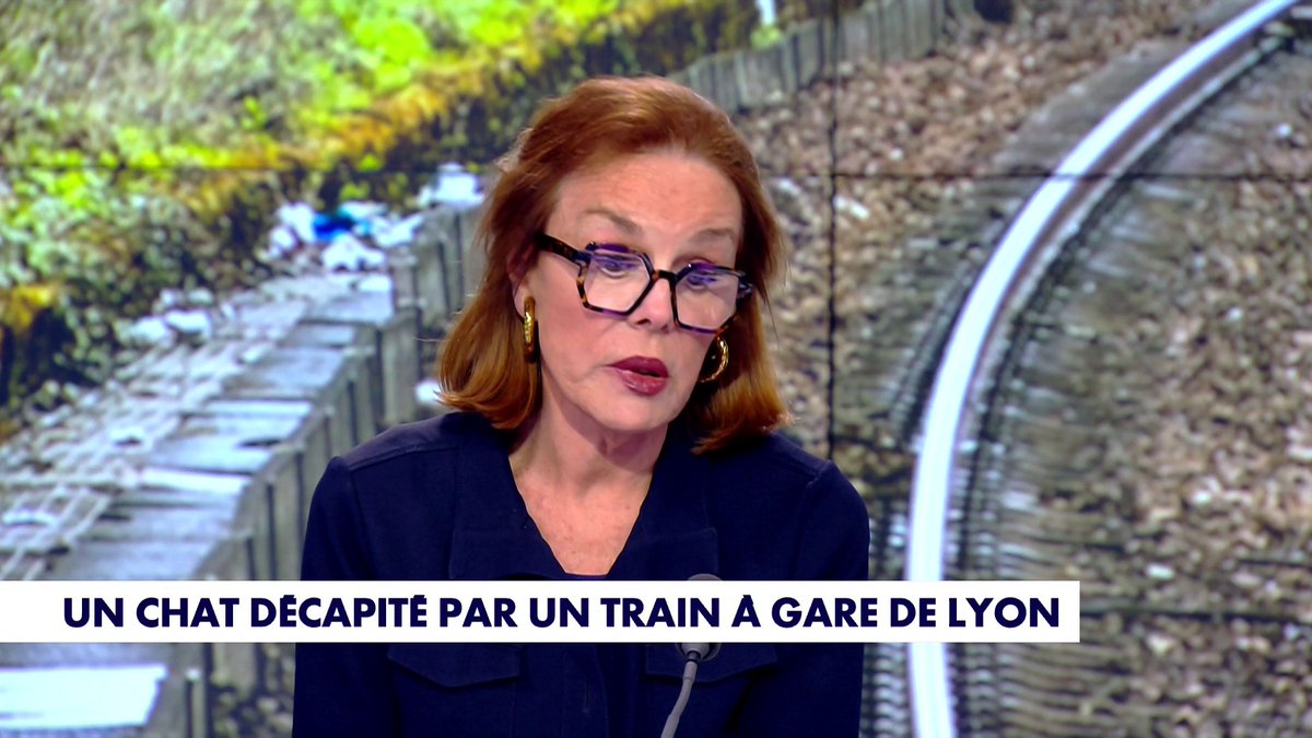 «Il faut être particulièrement vigilant avec un chat car ils n’ont pas l’habitude d’être dans une gare», rappelle Catherine Nay, dans #Punchline Toute l'info est à retrouver sur
