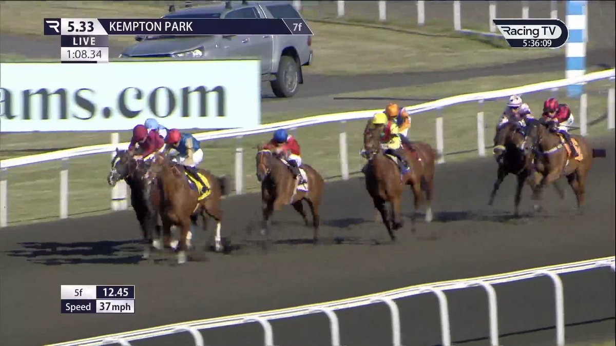 Half-brother to Romantic Warrior! 👀 450,000gns purchase Le Samourai gets off the mark under James Doyle for Ralph Beckett in the Unibet Racing contest at Kempton Park Racecourse 🤩