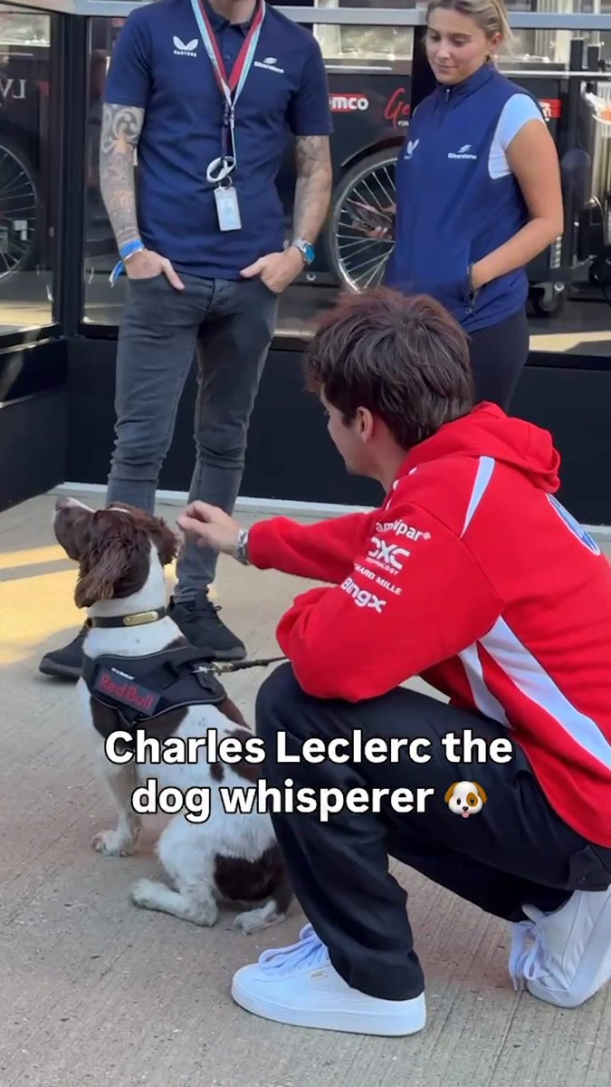 The dogs love Charles Leclerc 🥹
