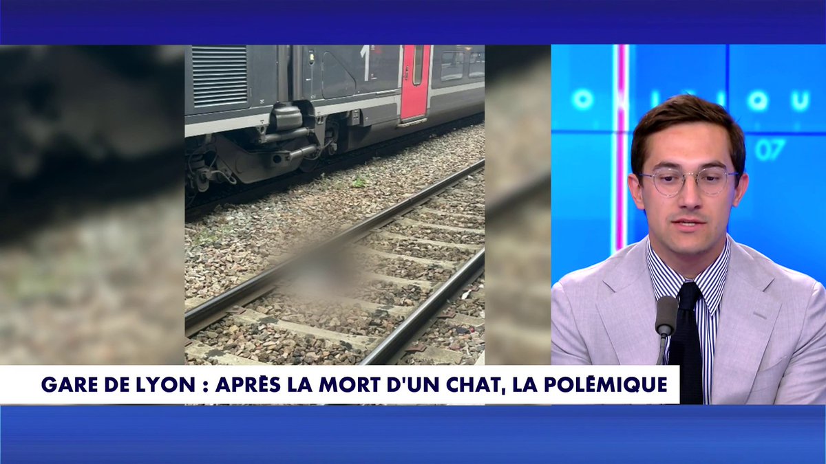 Polémique après la mort d’un chat : «Si ma grand-mère est souffrante, je ne vais pas attendre 4h parce qu’un chat est coincé», justifie Jules Torres, dans 100% Politique Toute l'info est à retrouver sur