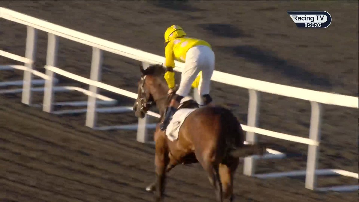 A promising run from our syndicate horse, The Lost Sock, who finishes second wearing blinkers for the first time Kempton Park Racecourse! Fingers crossed he is back to winning ways soon 🤞 RaceShare | Roger Varian | Ray Dawson