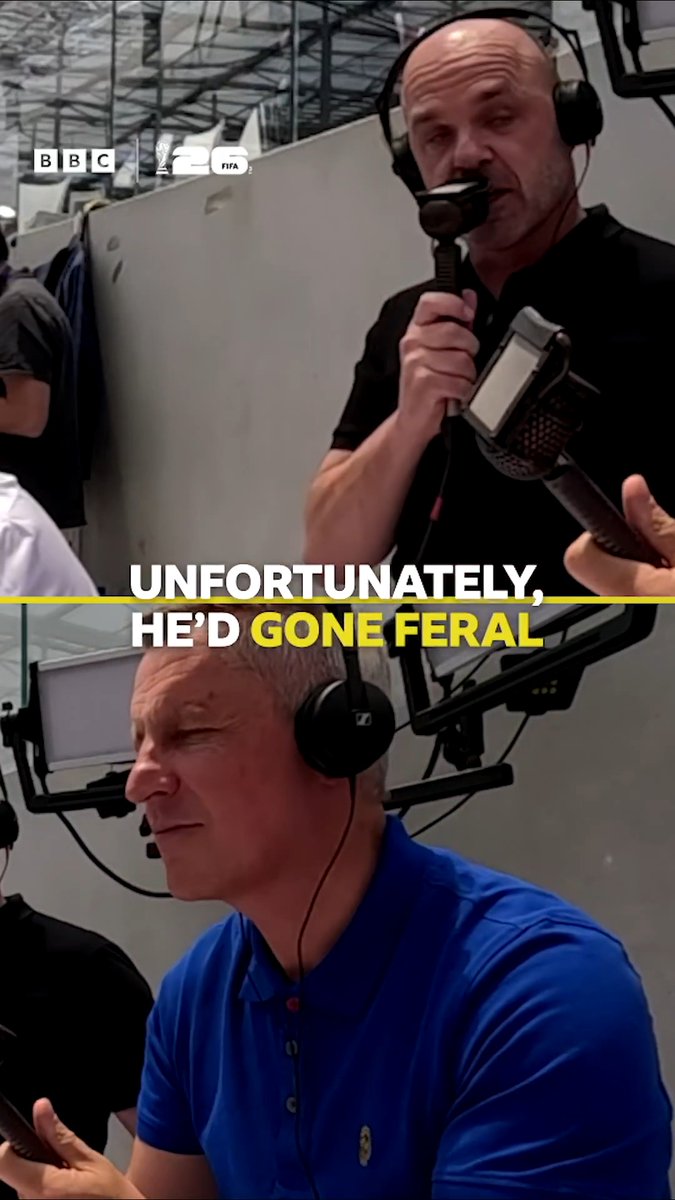 🚨 Part two of the Bob the cat story🚨 Danny Murphy's tale doesn't exactly have the happiest of endings 😿 #FifaWorldCup