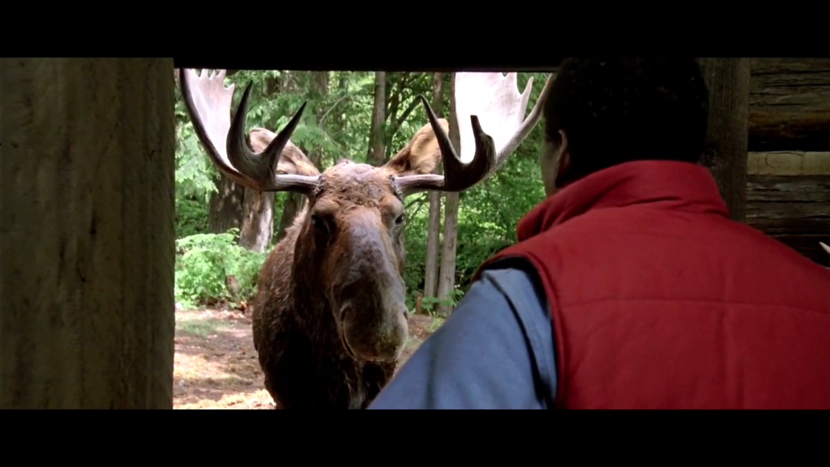 Sidney Poitier, Tom Berenger, and a REALLY big moose in Shoot to Kill (aka Deadly Pursuit). A perfect little comedy beat in a cracking 80s thriller, and yep, that’s a real live animal.