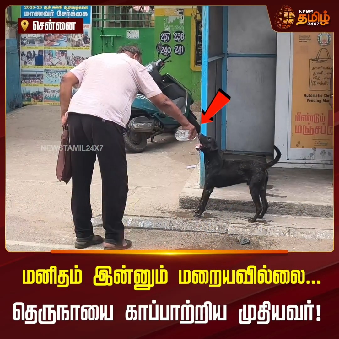 சுட்டெரிக்கும் வெயிலில் தாகத்தால் தவித்த தெருநாய்க்கு தண்ணீர் ஊற்றி காப்பாற்றிய முதியவர்! Chennai | Dog | Viralvideo | 03 Jul 2026 #Newstamil24x7 #Dogrescue