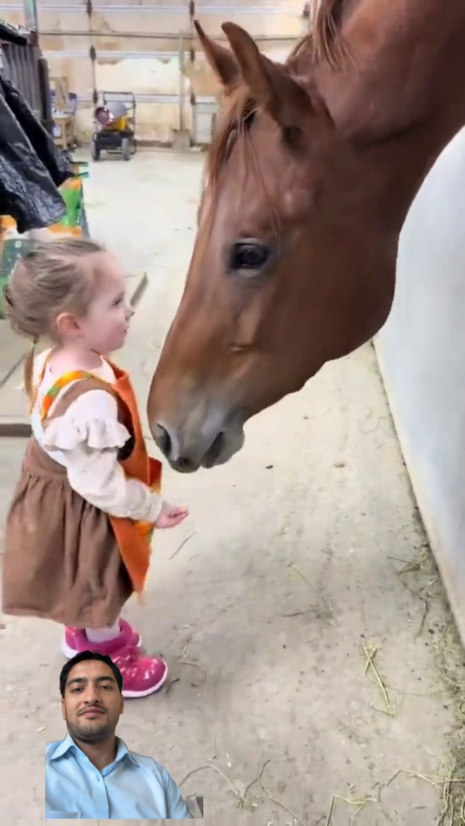 This little angel’s gentle heart speaks the same language as the horses pure and beautiful. 🐴❤️