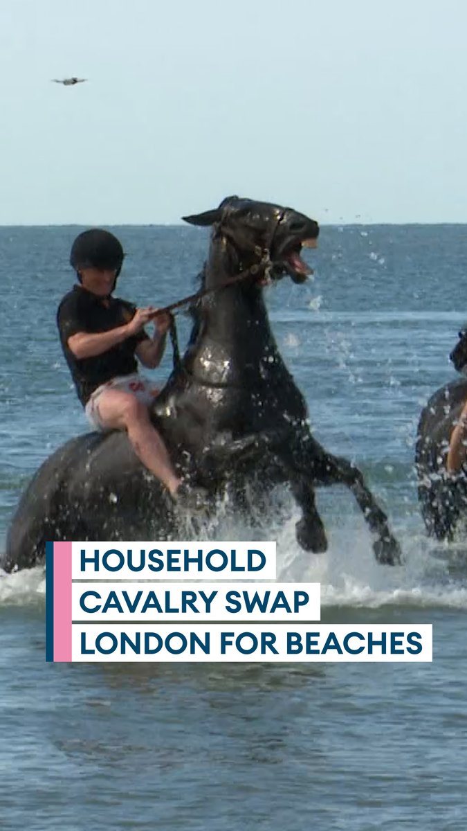 London's cavalry hit the beach🐴 Household Cavalry Mounted Regiment horses swapped ceremonial duties in London for training on Hayling Island🔗⬇️