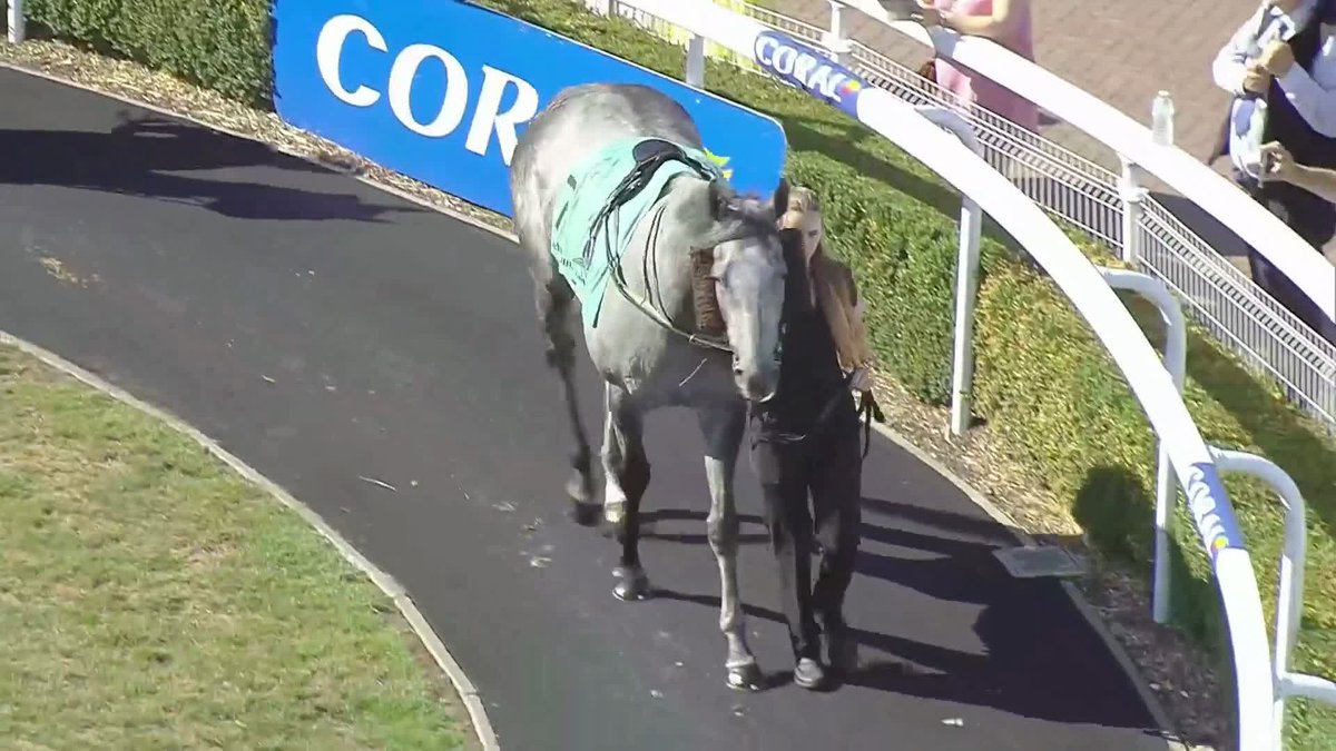 A great chat with Philippa Cooper after victory for Marnier in the JRA World Racing at Sandown Park earlier today. Training fees, JRA plushies, Sweet William and more! Lydia Hislop