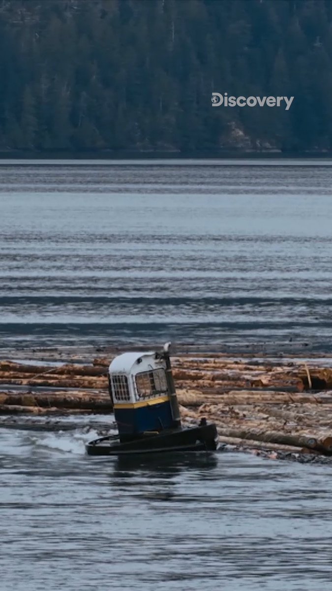 It all comes down to this final barge. 🪵 Will Jared and his crew bring in enough cash to buy the Forever Claim? 👀 Watch the season finale of #TheLastWoodsmen now on Discovery!