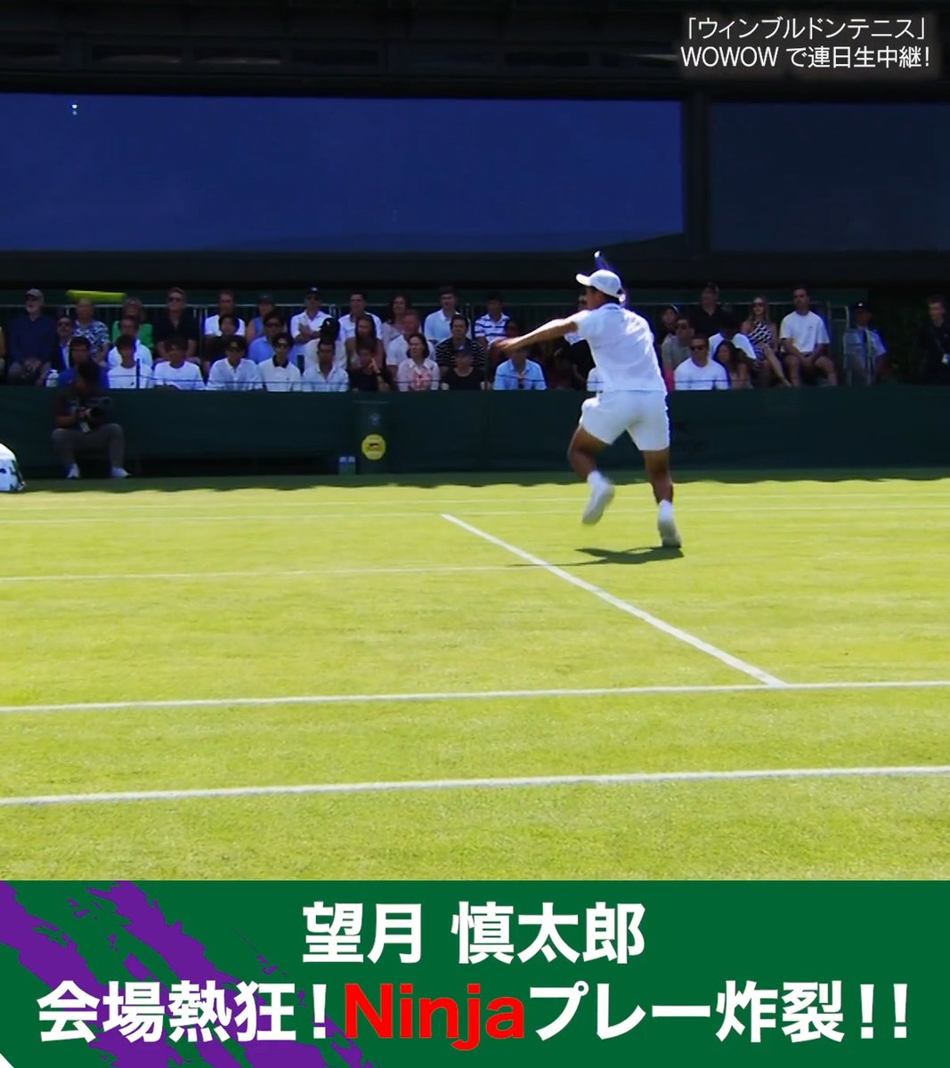 【ウィンブルドンテニス🇬🇧】 🚩大会第5日 #望月慎太郎 に会場熱狂!Ninjaプレー炸裂🥷 #WOWOWでウィンブルドン #Wimbledon